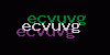 Visual Verification